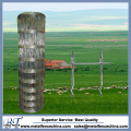 Hinge Joint Livestock Fence for Sale